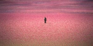 The House of the Spirits reconta a história do Chile