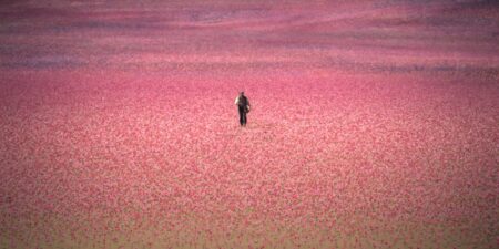 The House of the Spirits reconta a história do Chile