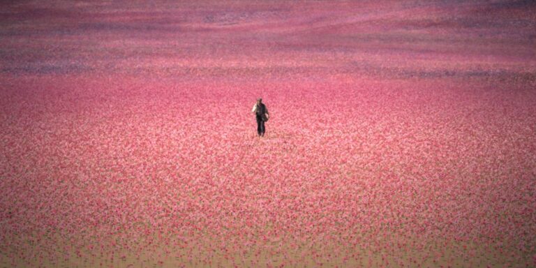 The House of the Spirits reconta a história do Chile