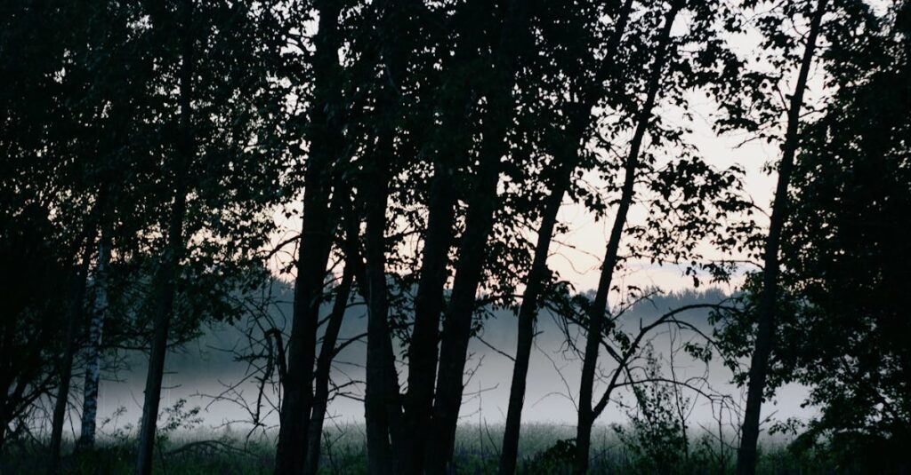 Lista vazada do elenco da nova série de sobrevivência de Alan Ritchson na Netflix