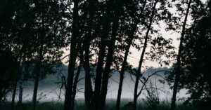 Lista vazada do elenco da nova série de sobrevivência de Alan Ritchson na Netflix