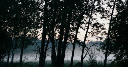 Lista vazada do elenco da nova série de sobrevivência de Alan Ritchson na Netflix