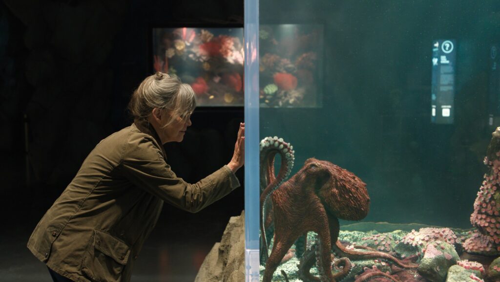 Criaturas extraordinariamente brilhantes: drama acolhedor da Netflix