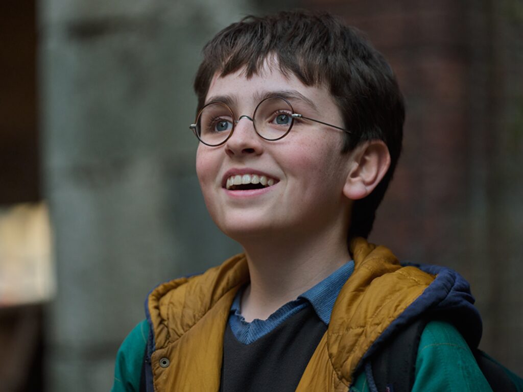 O papel essencial de Dobby na série Harry Potter